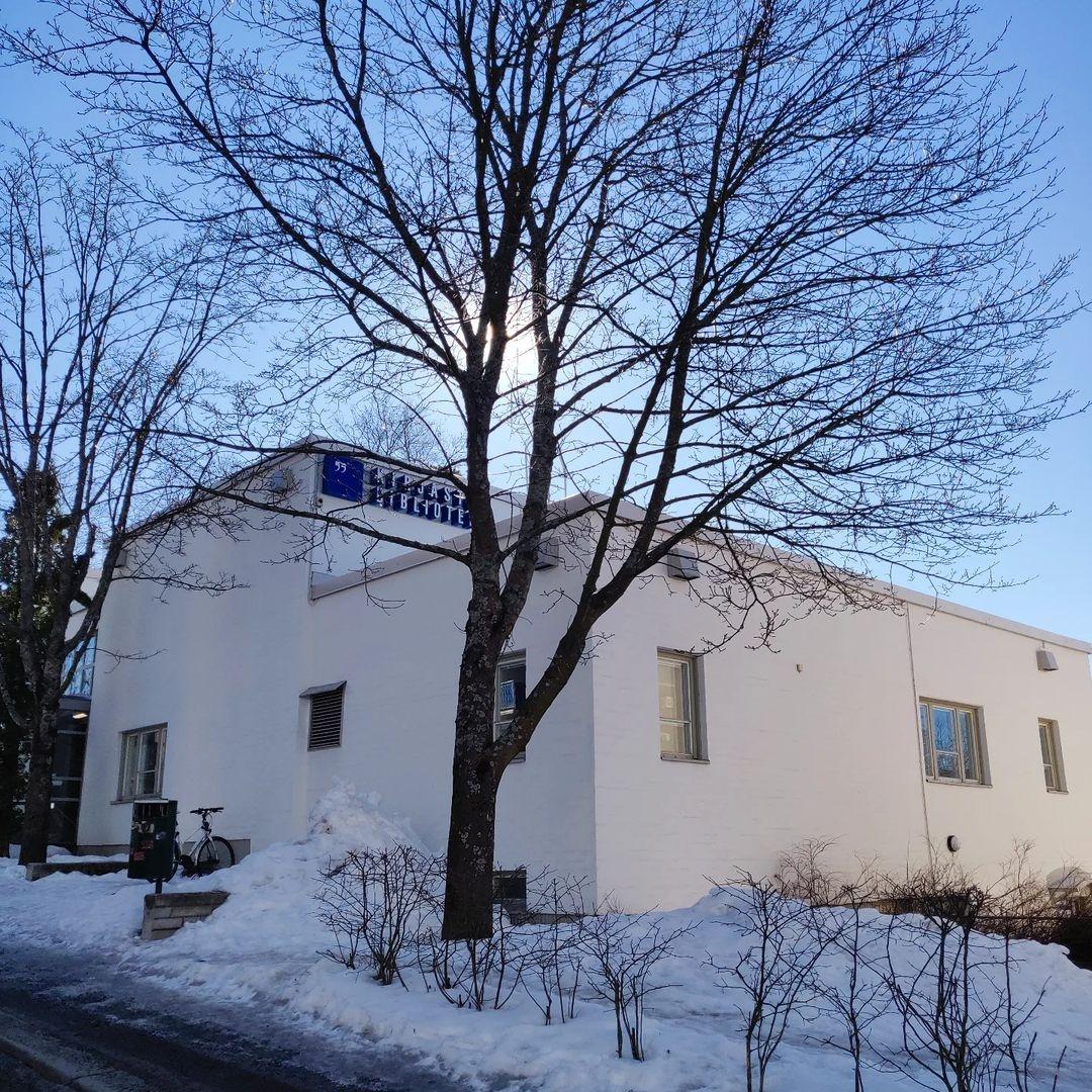 Lumimaisemassa lehdettömän puun takana valkoinen kirjastorakennus.