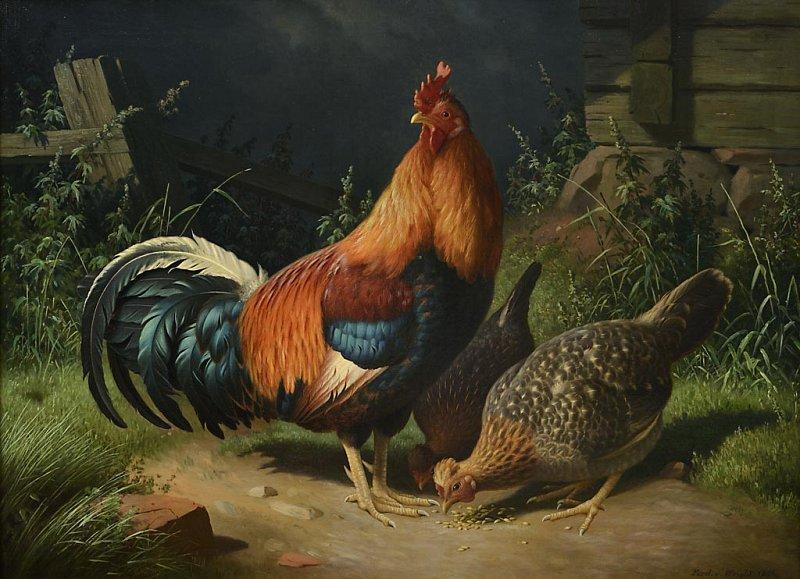 Maalauksessa kukko pystypäin ja kaksi maata nokkivaa kanaa. Tummanpuhuva, realistinen ja tarkka maalaus von Wrightin tyyliin.
