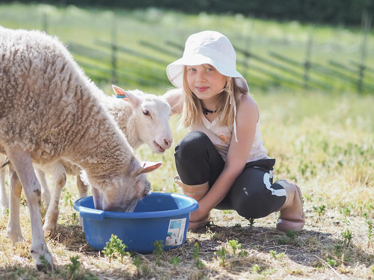 Pks4H:n Skatan eläinleirillä pääsee nauttimaan kesäpäivistä upeissa maalaismaisemissa.