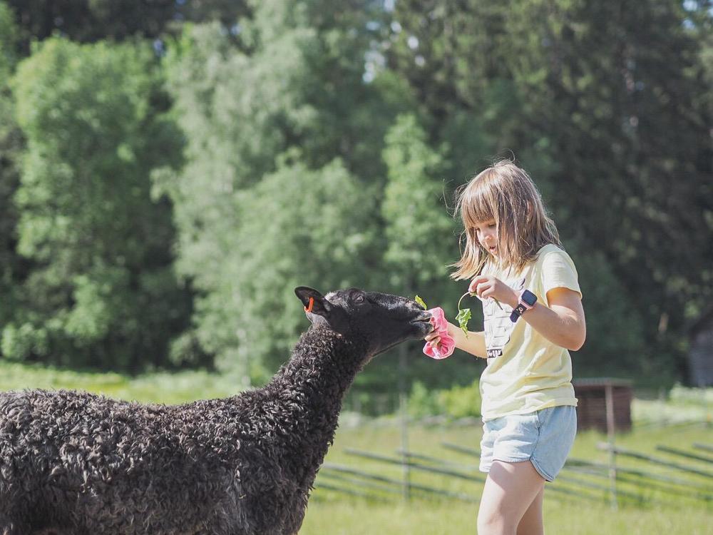 Pks4H:n eläinleirillä pääsee hoitamaan ja viettämään aikaa eläinten kanssa päivittäin.