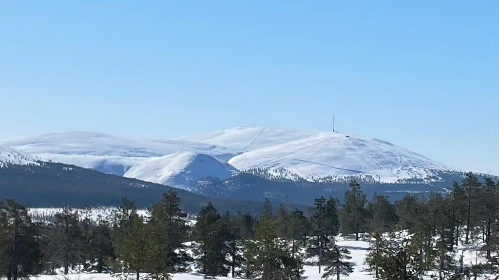 Ylläksen tunturimaisemaa, etualalla puita.