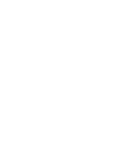 LT Consulting