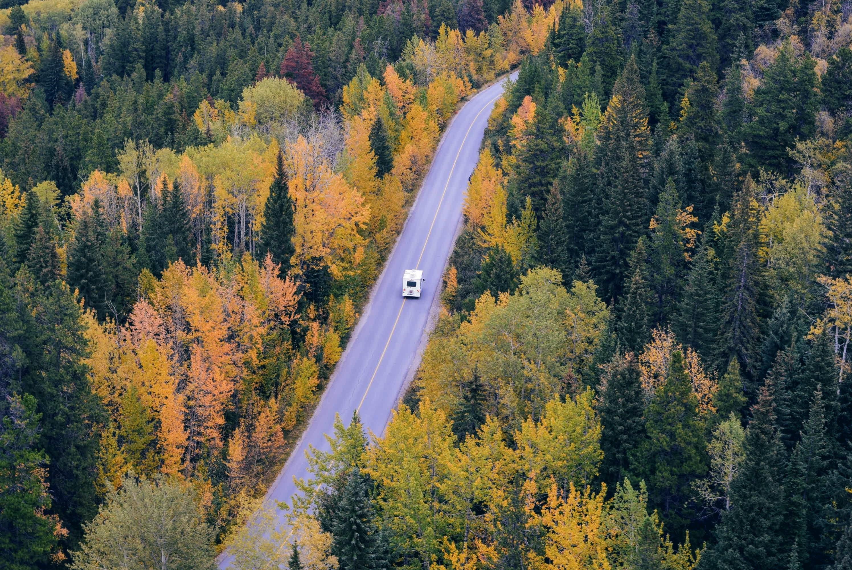 alt="Henkilöauto ajaa tiellä, jota molemmin puolin reunustaa syksyinen metsämaisema."