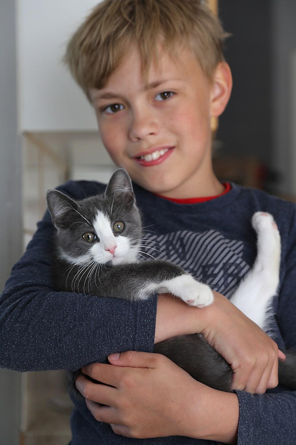 Kuvassa on poika, jolla on sylissään harmaa kissanpentu.