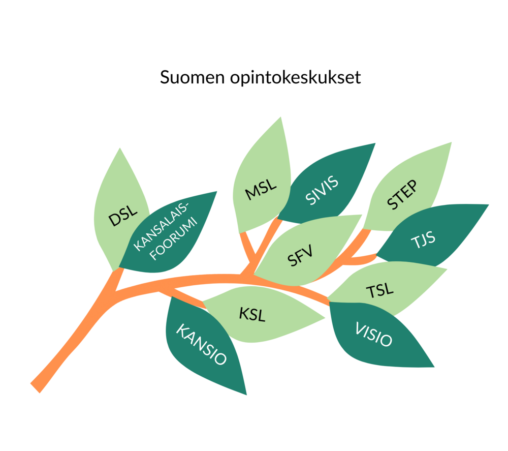 Suomen 11 opintokeskusta ovat eri järjestöjen ylläpitämiä vapaan sivistystyön oppilaitoksia.