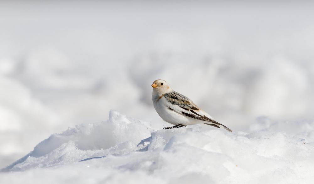 Lähetyskalenteri 2025
Opettajien Lähetysliitto