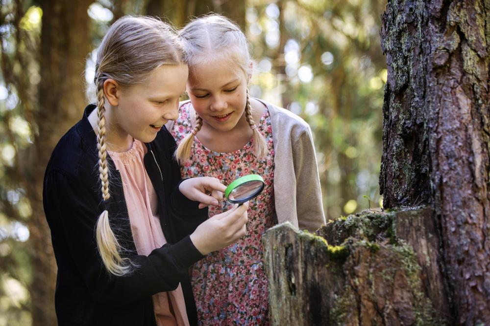 Ryhmä lapsia harrastamassa sisäliikuntaa.