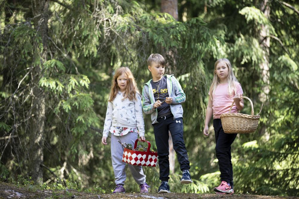 Kuvassa on kolme lasta metsässä kävelemässä.
