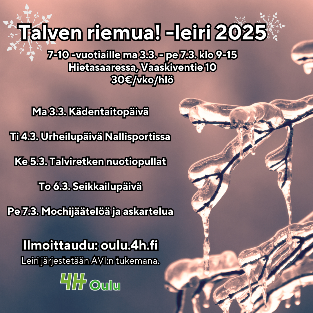 Paksusti jäätyneitä puunoksia. "Talviloman leiri 2025 7-10 -vuotiaille 3.-7.3. klo 9-16 Hietasaaressa, Vaaskiventie 10. 60€/vko/hlö. Maanantaina 3.3. kädentaitopäivä, tiistaina 4.3. urheilupäivä Nallisportissa, keskiviikkona 5.3. mochi-jäätelöä ja askartelua, torstaina 6.3. salapoliisipäivä, perjantaina 7.3. talviretken nuotiopullat. Ilmoittaudu: oulu.4h.fi, leiri järjestetään AVI:n tukemana. 4H Oulu."