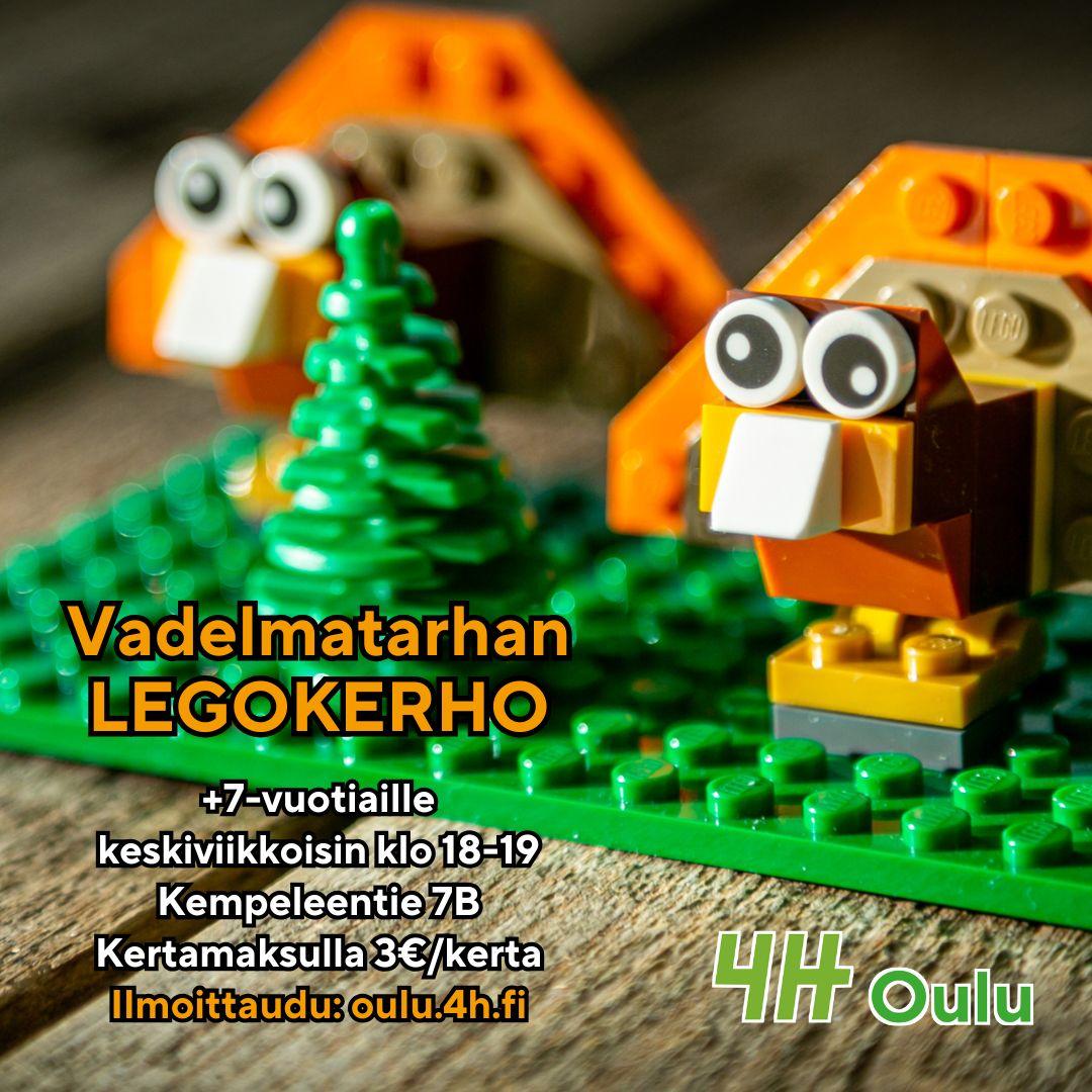Sympaattisen näköisiä, hieman kierosilmäisiä legokalkkunoita vihreällä alustalla. Vadelmatarhan legokerho +7-vuotiaille keskiviikkoisin klo 18-19, Kempeleentie 7B. Kertamaksulla 3€/kerta. Ilmoittaudu: oulu.4h.fi."