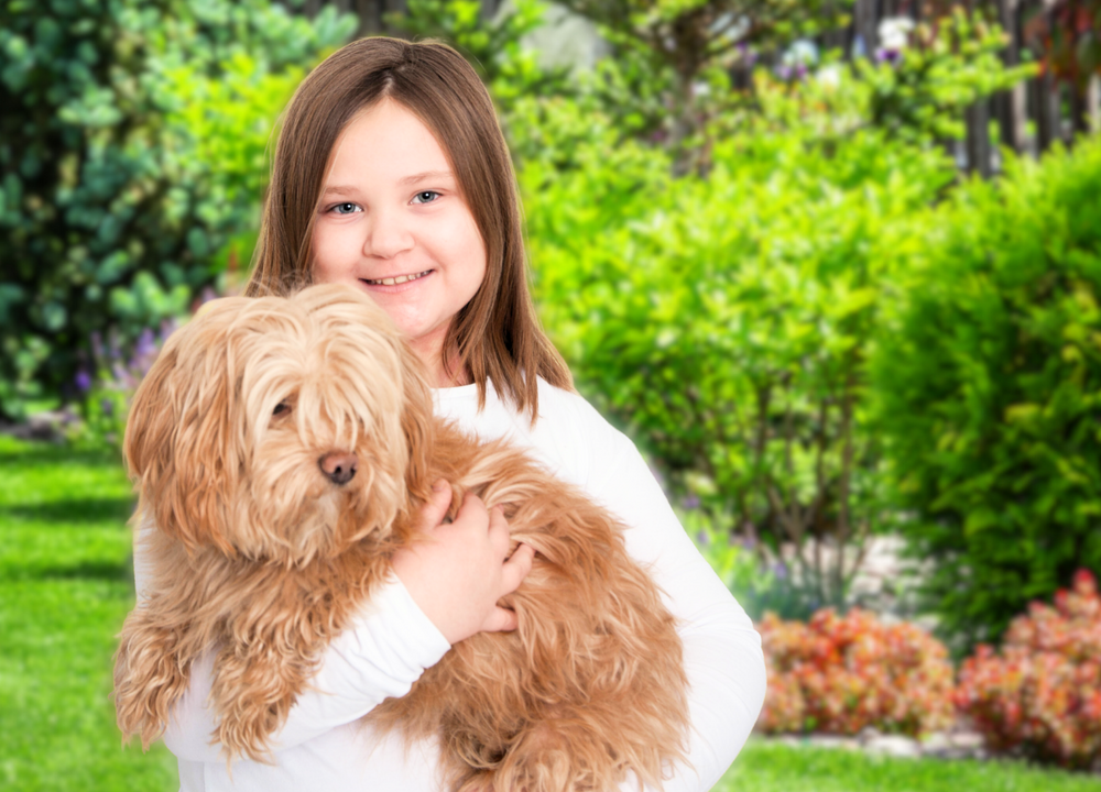 Tyttö pitää pitkäkarvaista koiraa sylissä.