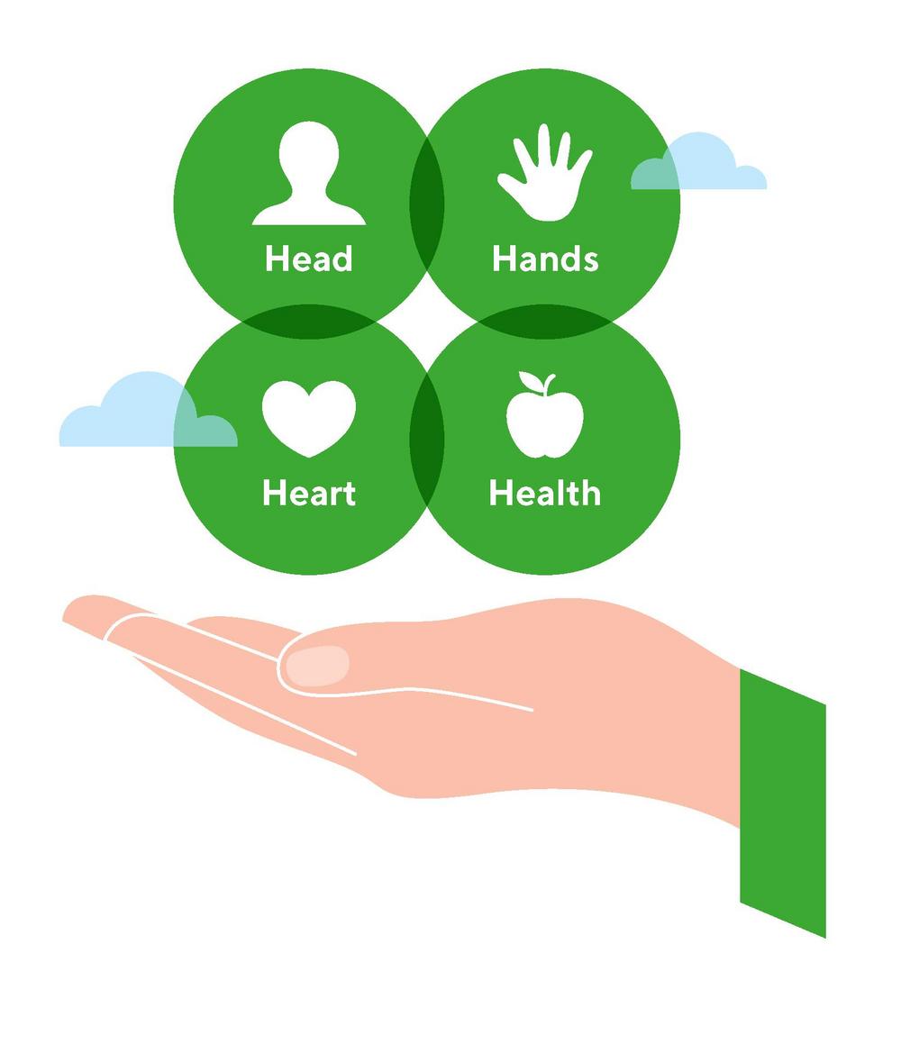 Kuvassa on 4H 2026–2028 strategian mukainen kuva arvoista: Head, Hand, Heart, Health. Kuvassa arvot ovat käden päällä, joka kuvaa Tekemällä oppii-mallia.