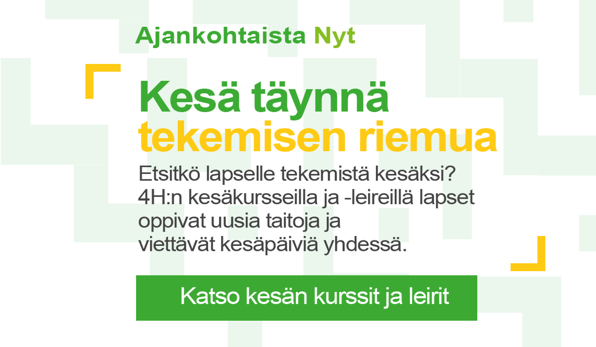 Oulun 4H:n kesän kurssien ja leirien banneri, jossa kannustetaan ilmoittautumaan kesän kursseille ja leireille.