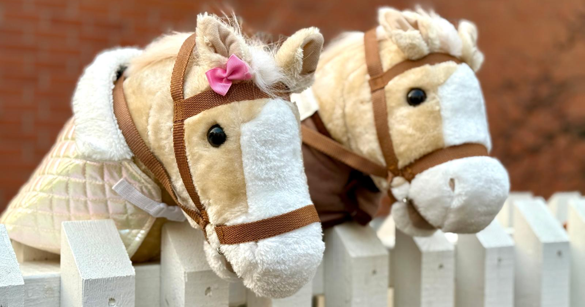 Kaksi ruskeavalkoista keppihevosta nojaamassa aitaan.