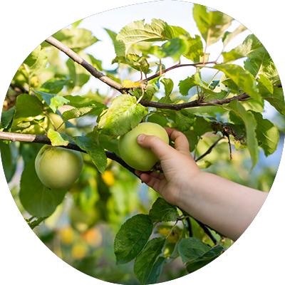 Kaksi lasta keinuu sylikkäin.