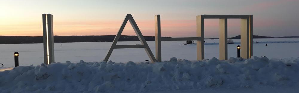 2025 Joulu ja Uusi Vuosi / er