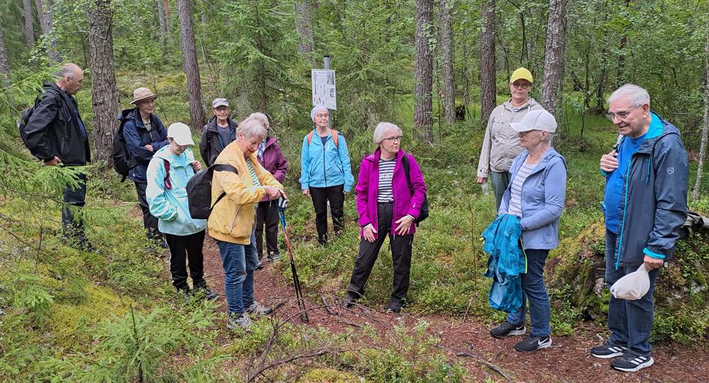 Pidimme juomatauon, jonka jälkeen patikoiti jatkui.