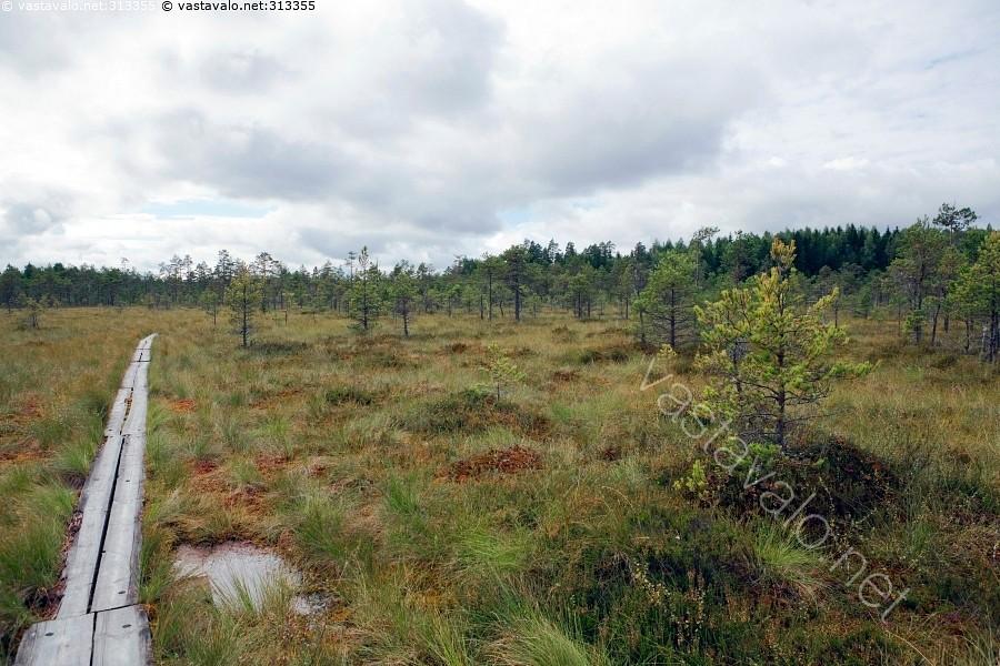 Retket ja tapahtumat | Ikinuoret eläkkeensaajat ry