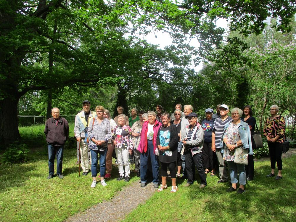 Tammen katveessa Suvirannassa.