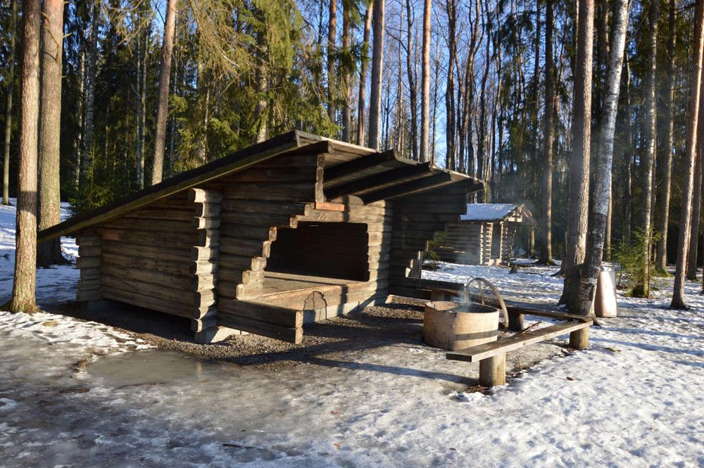 Ulkoilupäivä Pumpparin laavulla | Viialan Eläkkeensaajat ry