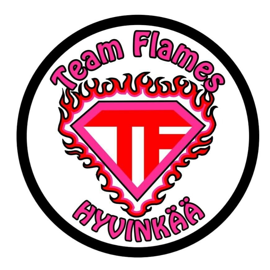 Team flames logo