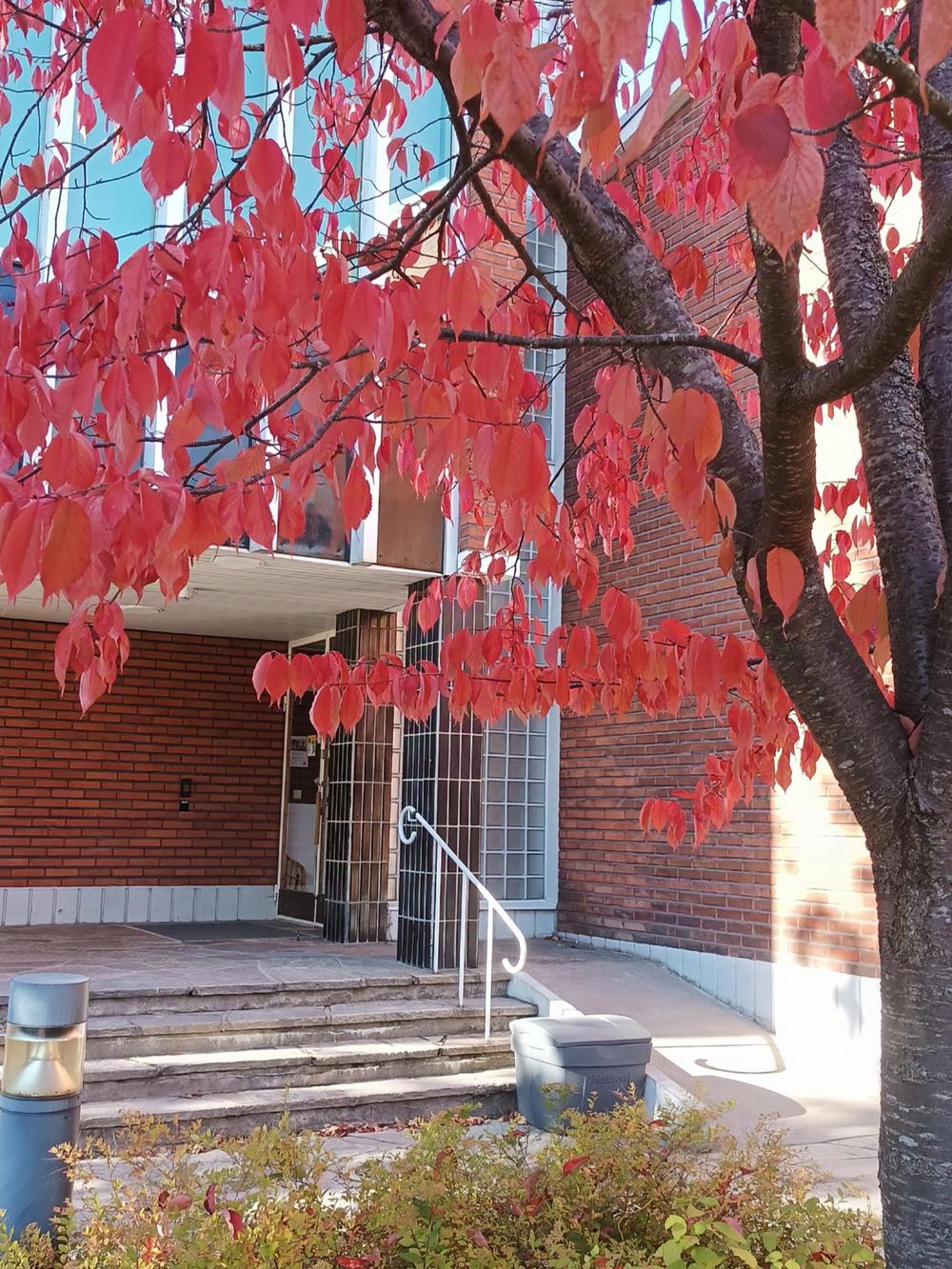 Pitäjänmäen Eläkkeensaajat ry kokoontuu jäsentapaamisiin Pitäjänmäen kirkon seurakuntasalissa. Osoite on Turkismiehenkuja 4, 00370 Helsinki.