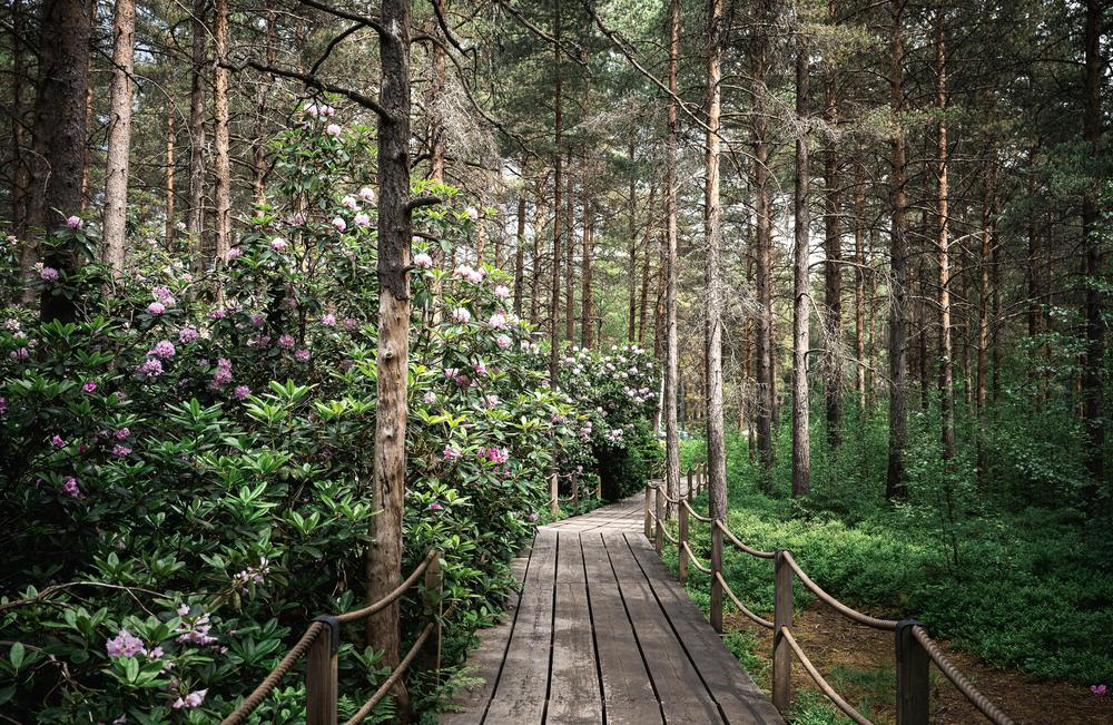 Pitäjänmäen Eläkkeensaajat ry kokoontuu jäsentapaamisiin Pitäjänmäen kirkon seurakuntasalissa. Osoite on Turkismiehenkuja 4, 00370 Helsinki.