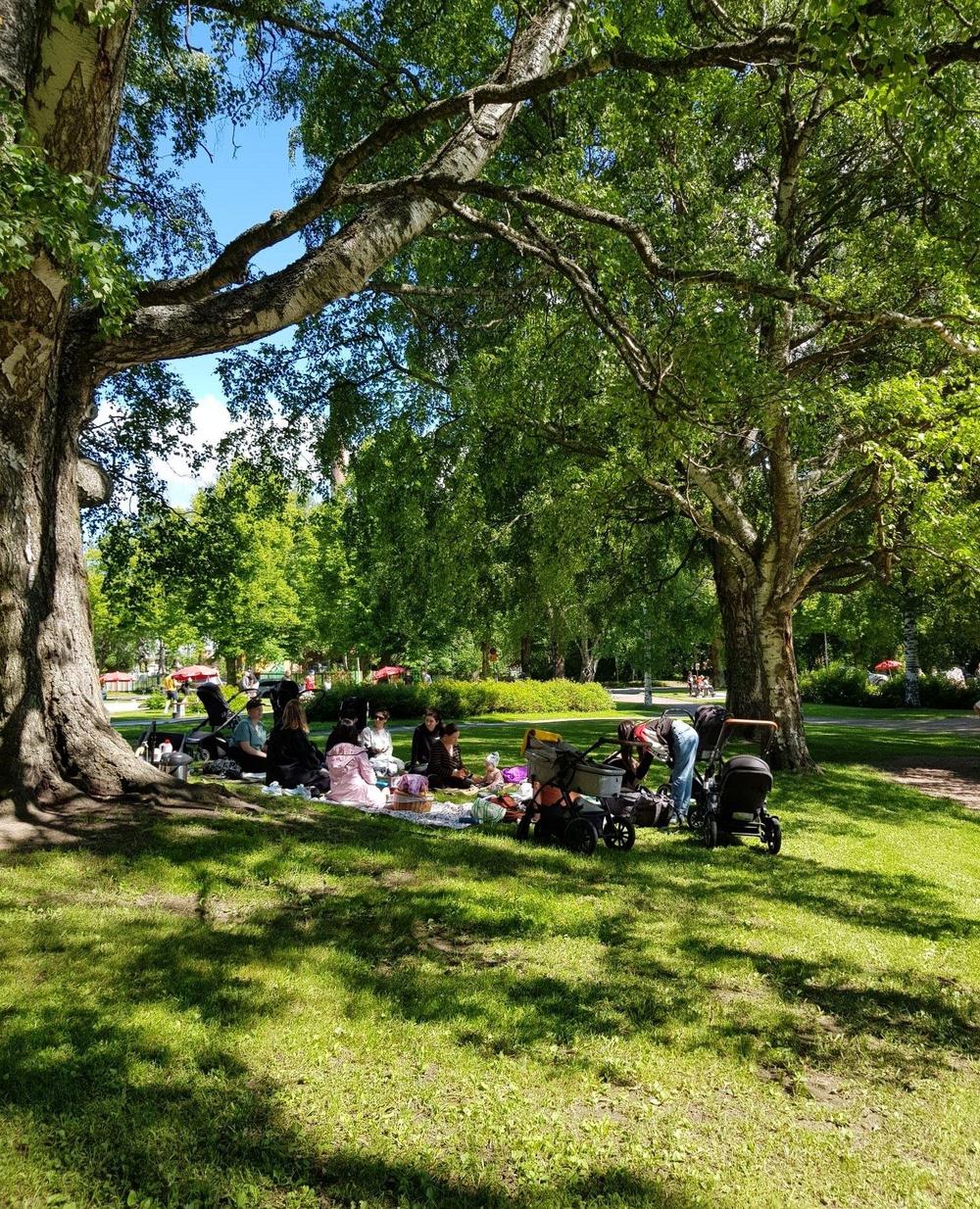 Valokuva: Vehreä puistomaisema, jossa etualalla on suurten puiden katveessa piknik meneillään. Vilttien äärellä on useita lastenvaunuja ja maassa istuu useita ihmisiä ja lapsia.