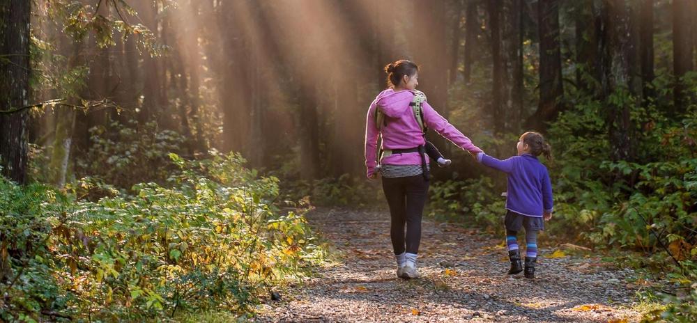 Valokuva: Metsämaisema, jossa valo siivilöityy oksien lomitse. Kuvassa kulkee hiekkatie, jolla kävelee kamerasta poispäin aikuinen ja lapsi käsikkäin.
