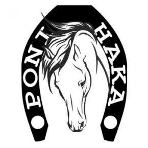 Poni-Haka Oy sivut