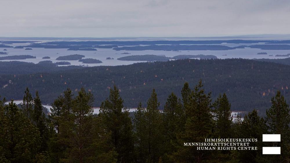 Pohjoisen järvimaisema kuvattuna ylhäältä. Etualalla kuusikko.
