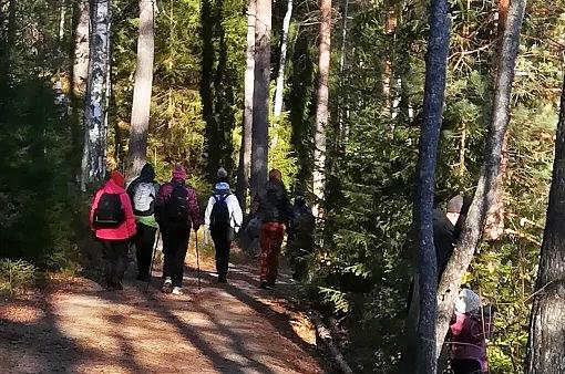 Perheitä Pienperheyhdistyksen retkellä metsässä.
