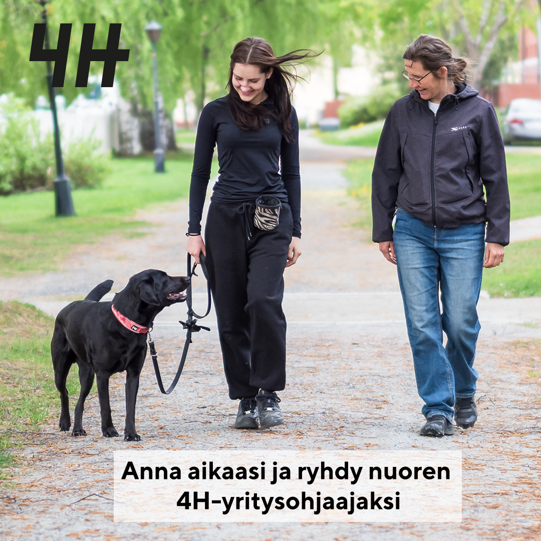 Nuori taluttaa hihnassa labradorinnoutajaa. Nuoren vierellä kulkee aikuinen.