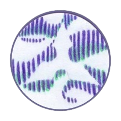 Mika Valtonen
työmarkkinavastaava
040 588 8727
mika.valtonen@msrnet.fi