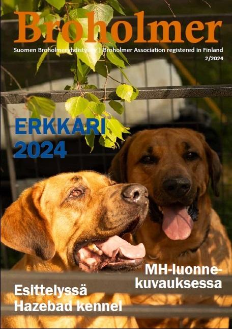 Broholmer 2/2024