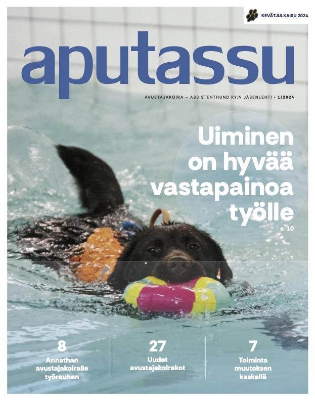 Kuva Aputassu lehden syysjulkaisusta. Vaalea labradorinnoutaja istuu sivuttain lumisen taustan edessä ja on kääntänyt päänsä katsomaan kuvaajaa. Päällä koiralla on mustat avustajakoiraliivit ja joissa on avustajakoira merkit. 