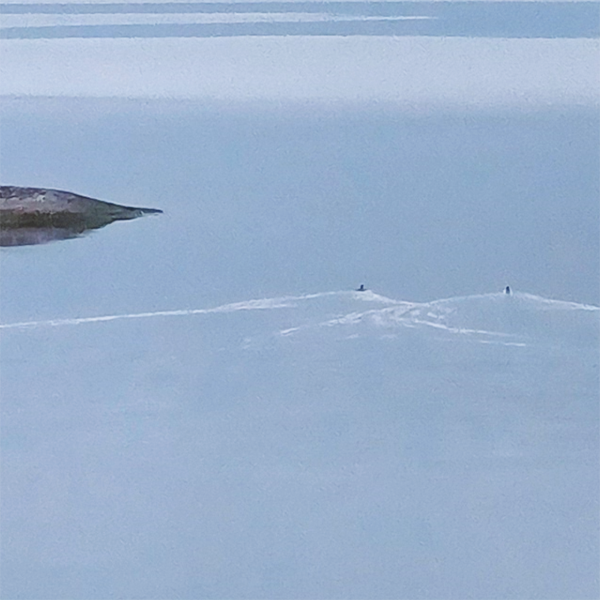 Letters and numvers in sea view, aalso a link to the FINMARI Researcher Day 2022 web page