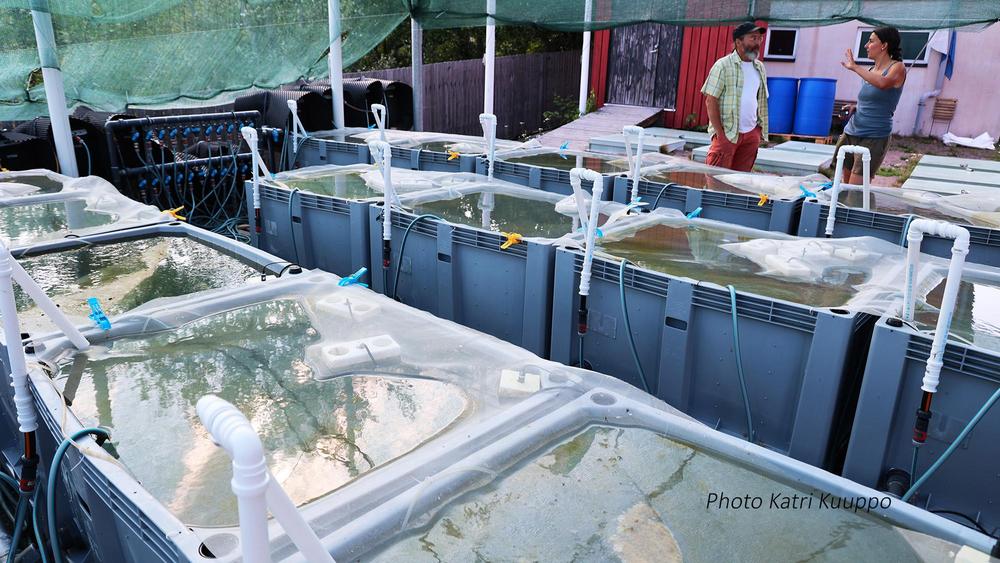 Outdoor mesocosms and two researchers discussing