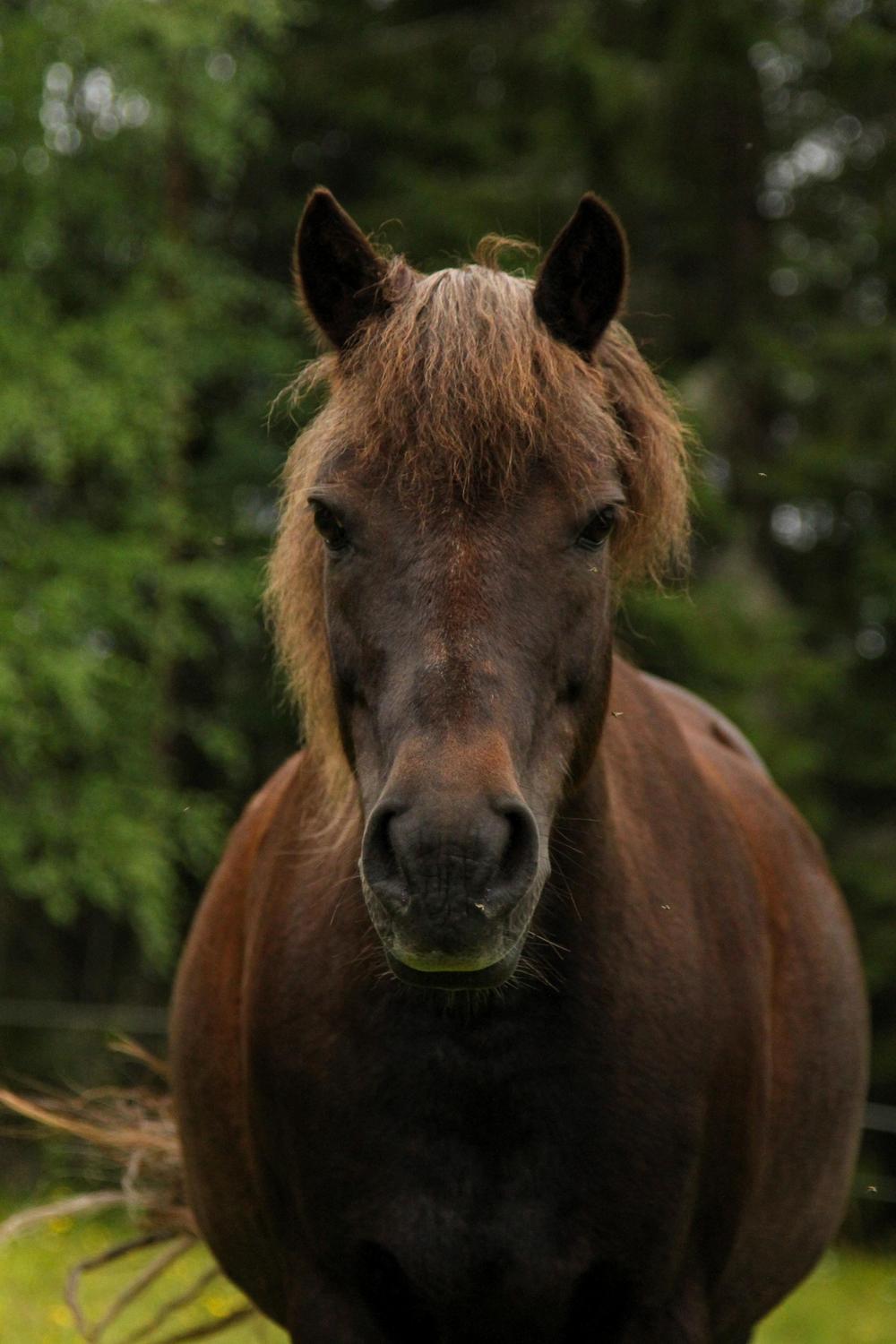 Felicia
Kuvaaja: Emmi Erkkilä