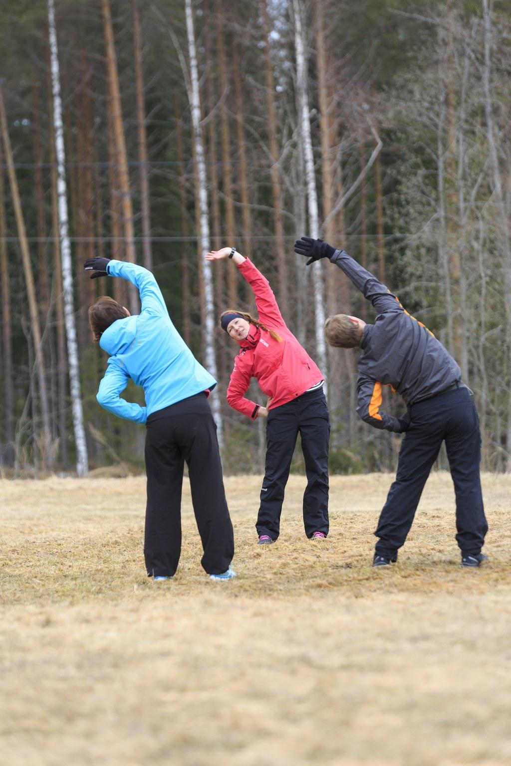 Kansallinen Toimintakykyohjelma Hallitusohjelman Kärkihankkeeksi ...