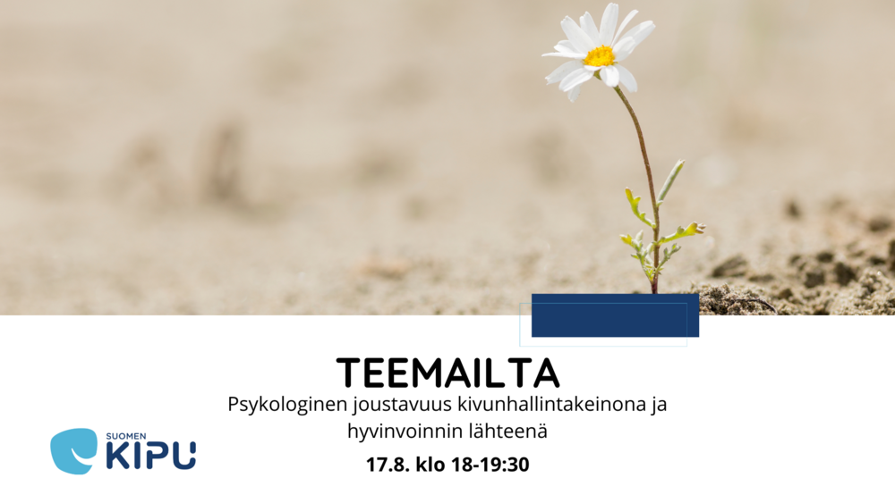 Kukka valkoisilla terälehdillä ja keltaisella sisuksella kasvaa hiekkaisesta maasta.