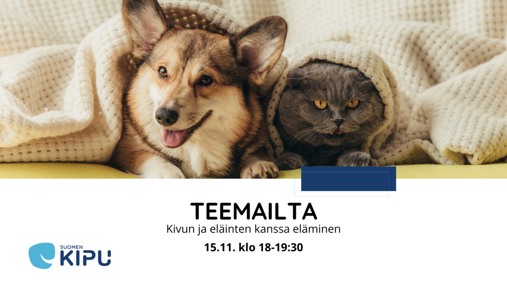 Koira ja kissa kurkistavat viltin alta.