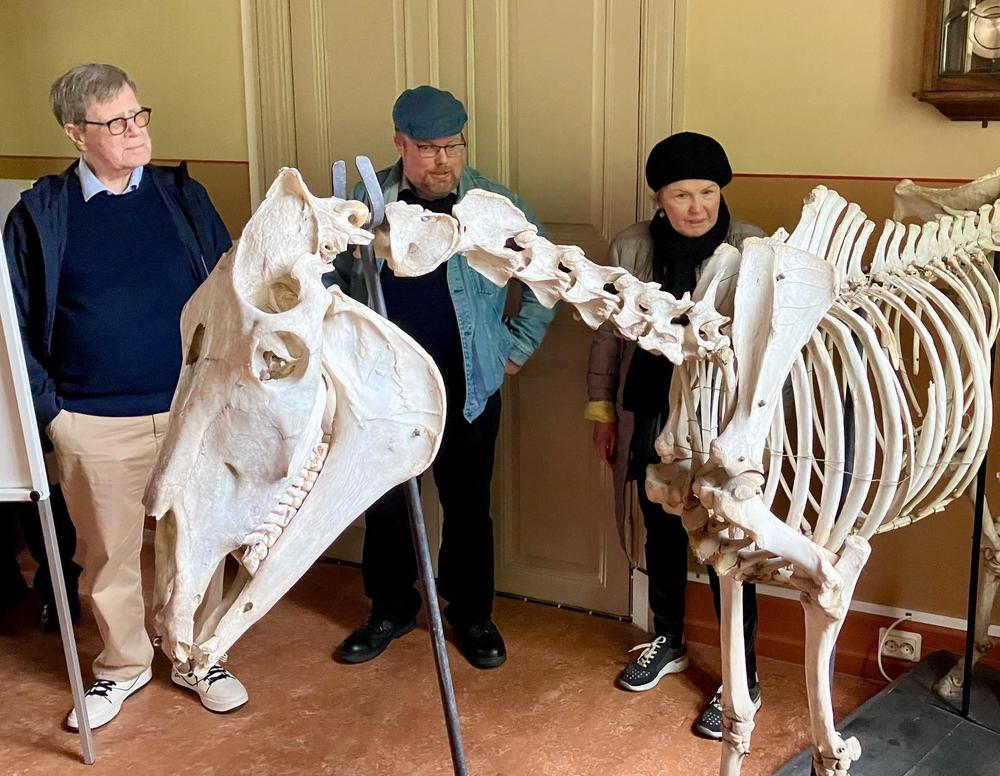 Mustiala Suomen ensimmäinen maatalousoppilaitoksena tarjoaa myös näkymää kartanon historiaan.