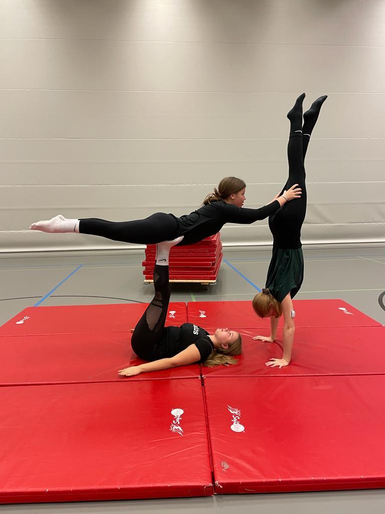 Telinevoimistelun harrasteryhmä