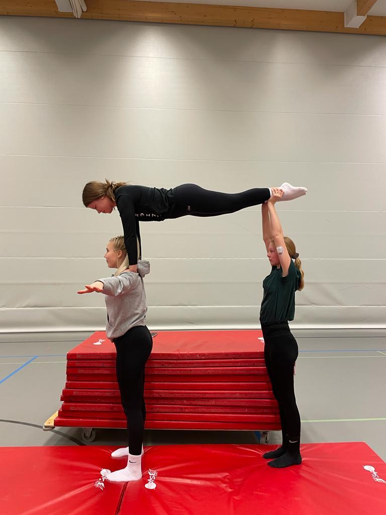 Telinevoimistelun harrasteryhmä