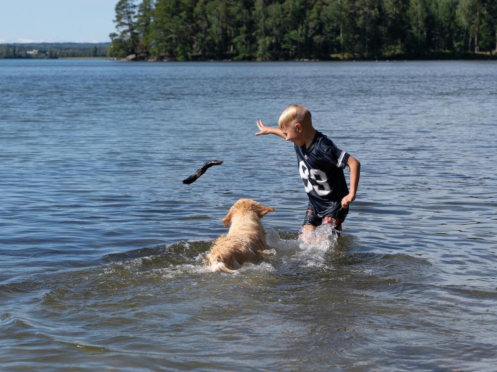 Poika heittämässä koiralle keppiä vedessä