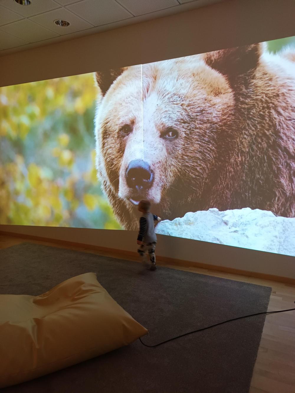 Kuvassa aistihuone, jossa isolla näytöllä video karhusta. Pieni poika seisoo ja katsoo videota. Lattialla on säkkituoli.