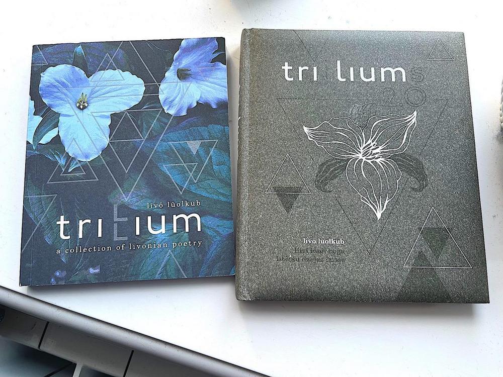 Kannet Trilium ja Trillium 2.0. Foto: Tapio Mäkeläinen, 2025.