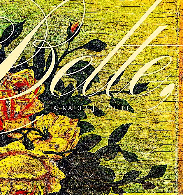 Belte, tas mālders -kirjan kansi.
