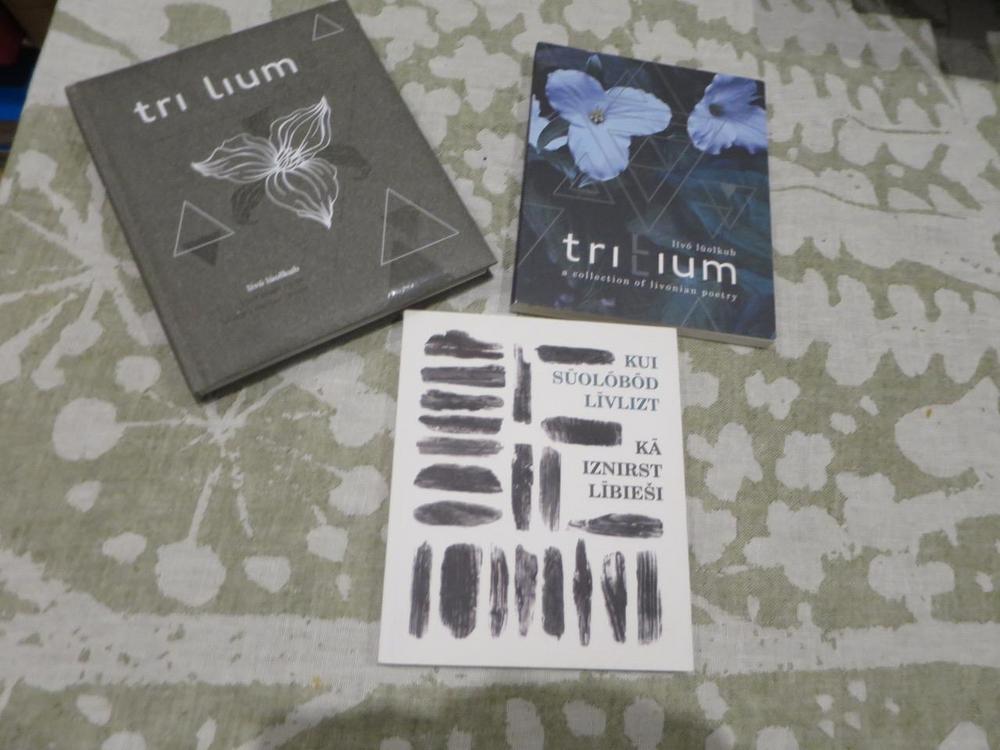 Runoantologiat. Kuva: Tapio Mäkeläinen 2025.
